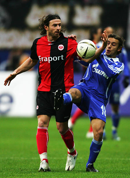 科曼的特点 科曼的特点